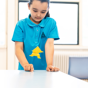 Students jump an origami frog