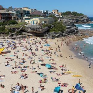 A busy beach on a pleasant day