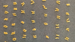 Macaroni in groups of 2