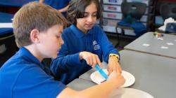 Students cut pictures of lamingtons