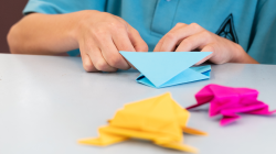 Student folds an origami frog