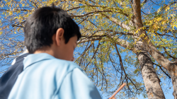 Student looks at sky