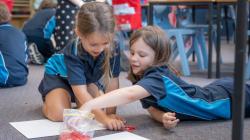 Students take counters out of a bag